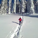 Knoedl-alm Bad Mitterndorf