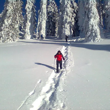 Knoedl-alm Bad Mitterndorf
