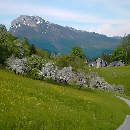 Knoedl-alm Appartement *