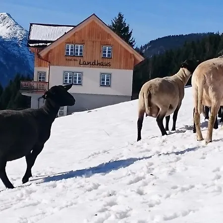 Landhaus Knodl-alm *