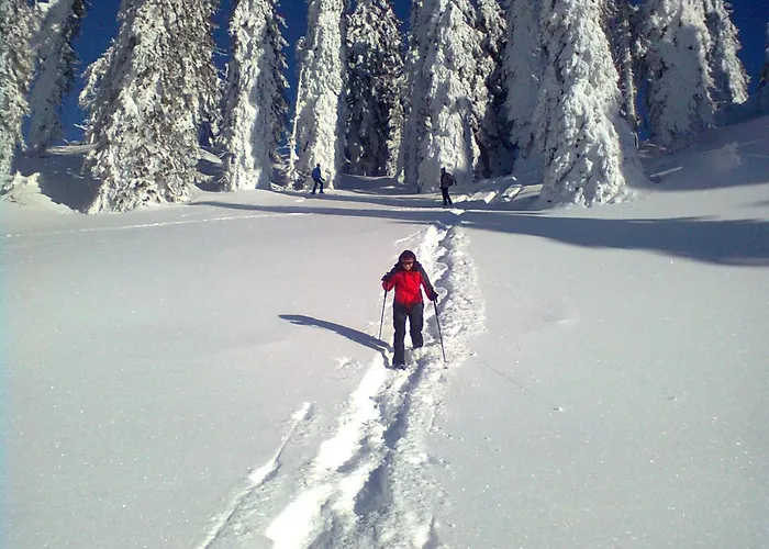 Knoedl-alm باد ميترندورف