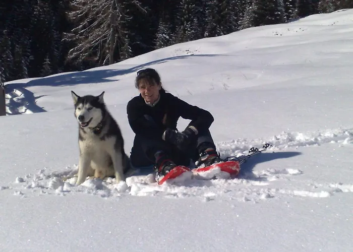 Knoedl-alm * باد ميترندورف