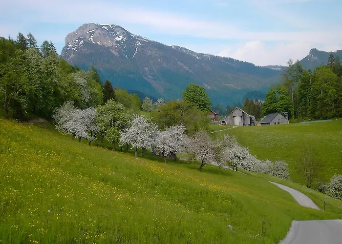 Knoedl-alm Appartement *