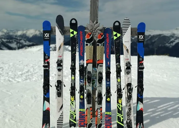 Knoedl-alm Bad Mitterndorf