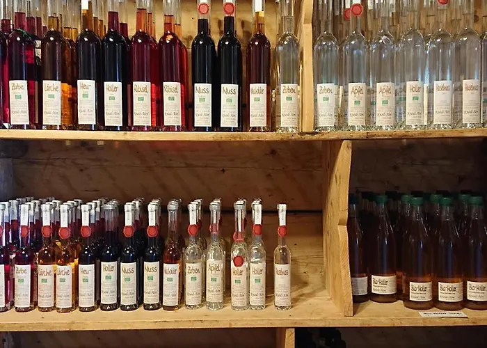 Knoedl-alm Appartement Bad Mitterndorf