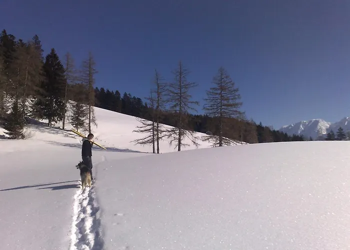 Knoedl-alm Bad Mitterndorf