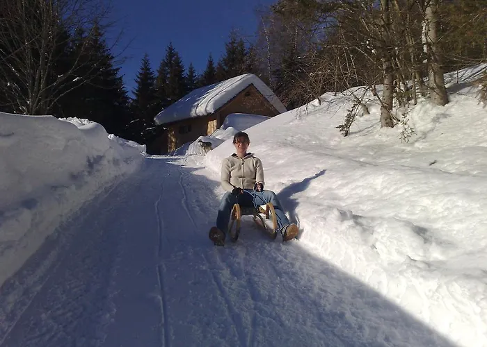 Knoedl-alm Appartement Bad Mitterndorf