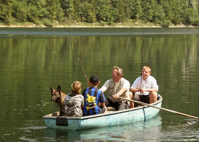 Appartement Knoedl-alm Bad Mitterndorf